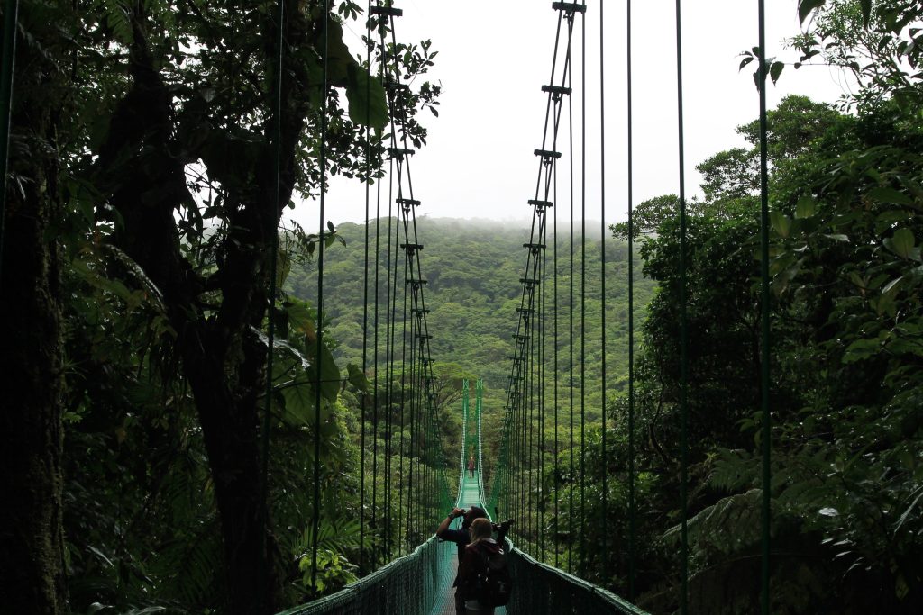 Costa Rica Mice destination